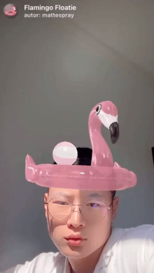 Flamingo Floatie