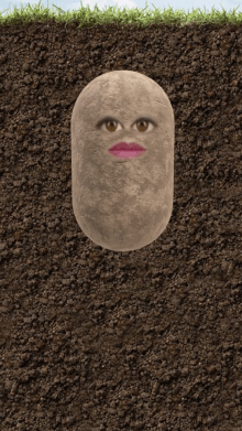 Taco Bell Potato