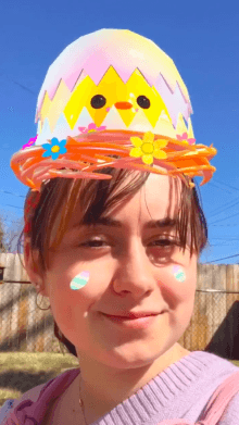 Spring Chicken