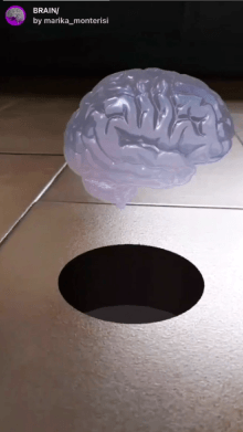 BRAIN/