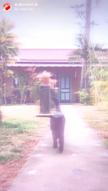 Blurssom