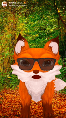 RAPOSA FOX