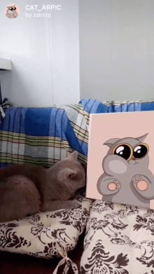 CAT_ARPIC