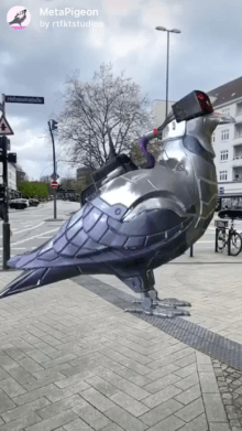 MetaPigeon