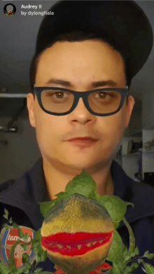 Audrey II