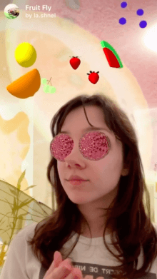 Fruit Fly