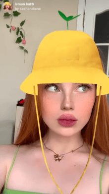 lemon hat✿