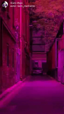 𝑺𝒄𝒂𝒓𝒚 𝑫𝒂𝒚𝒔
