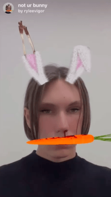 not ur bunny