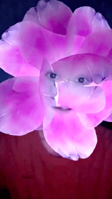 flowers 3D