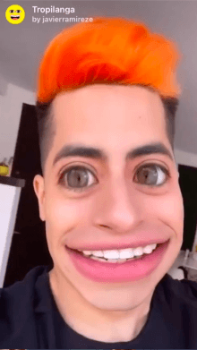 Tropilanga
