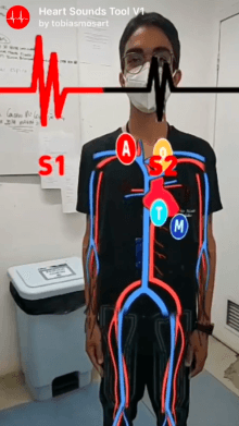 Heart Sounds Tool V1