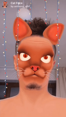 Cat Face