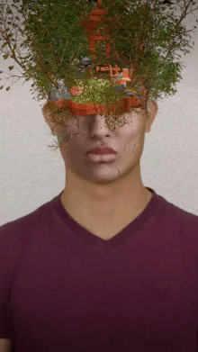 Tree Head1