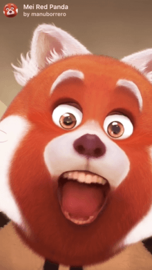 Mei Red Panda