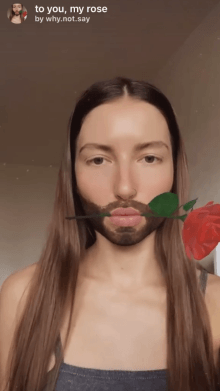 to you, my rose