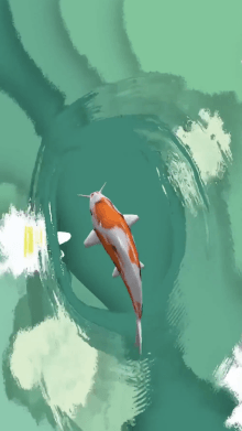 Cute Koi Fish 3D