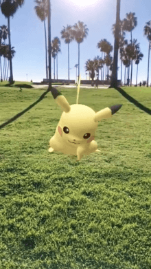 Pet Pikachu