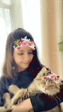 love cat