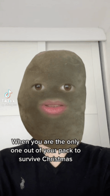 Potato