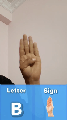 Sign Language