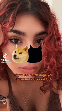 Catch Doge