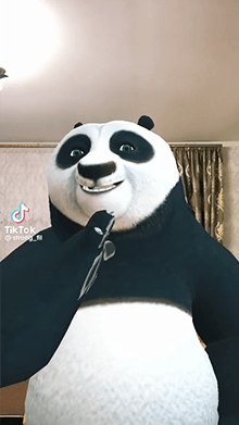 Kung Fu Panda