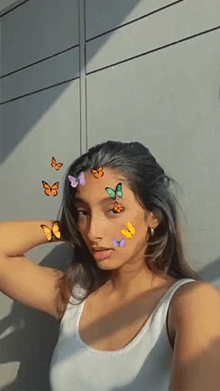 butterfly 🦋