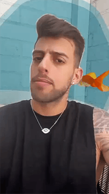 Bateria - Goldfish