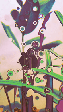 Liquid Green