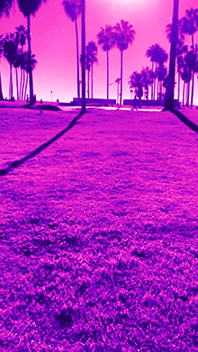 Purple Vibe