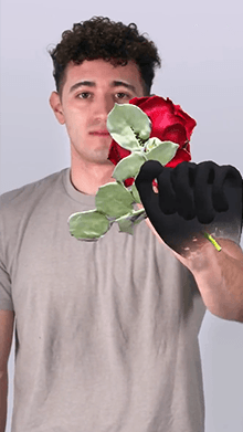 3D Rose In Hand
