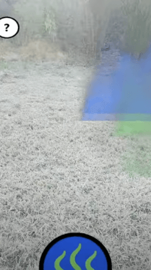 AR Experience
