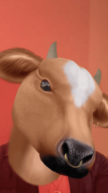 Cow