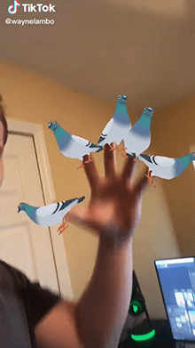 Pigeon Hold
