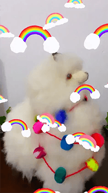 🌈 Rainbows 🌈