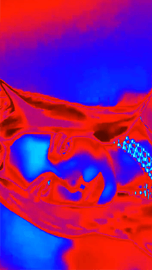 devil