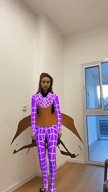 Body Mesh