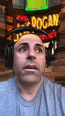 Being Joe Rogan