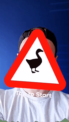 Untitled Goose