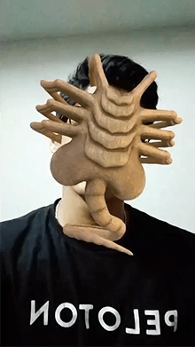 Facehugger