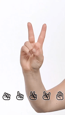 Hand Gestures
