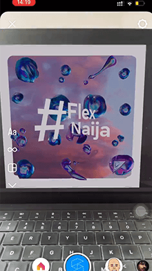 EagleFlexNaija