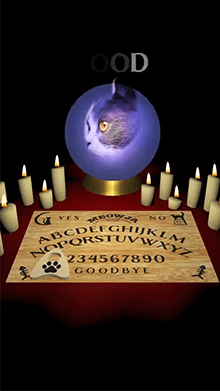 Cat Seance