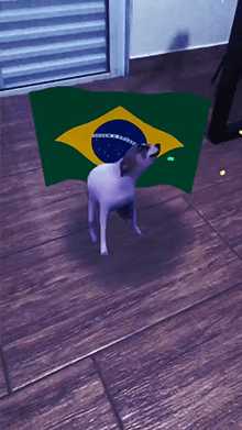 Doguinho BR