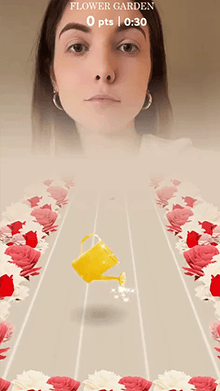 FLOWER GARDEN GAME