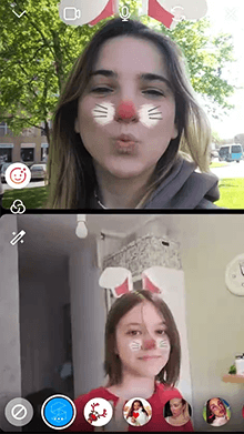 bunny in love