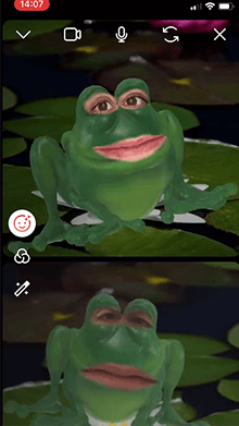 The Frog Prince