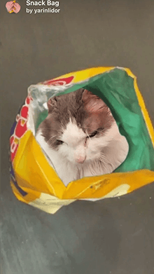 Snack Bag