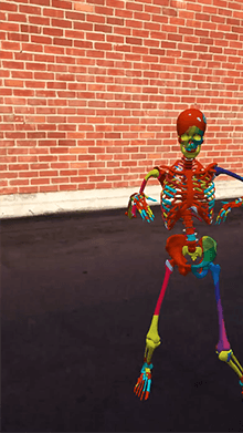 Skeletal Dance